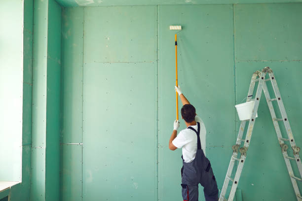 Best Mold Removal for HVAC Installations  in Boonsboro, MD