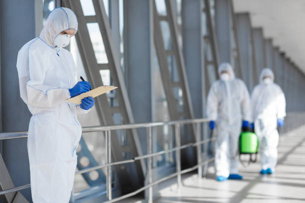 Best Mold Odor Removal Services  in Boonsboro, MD
