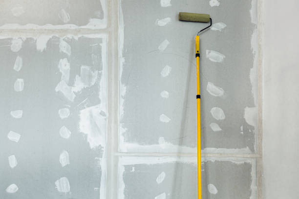 Environmental Consulting for Mold Prevention in Boonsboro, MD