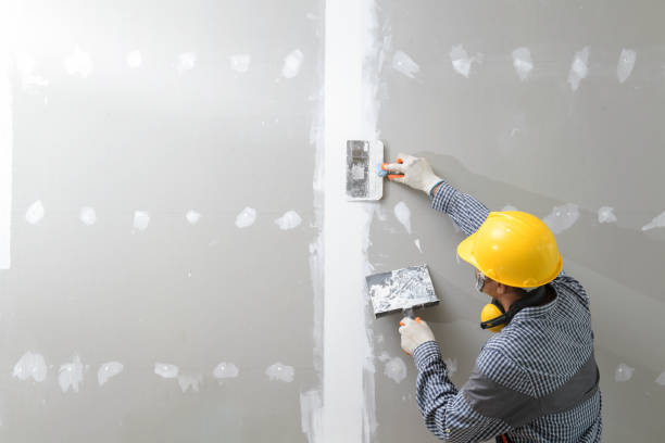 Best HVAC Mold Inspection and Cleaning  in Boonsboro, MD