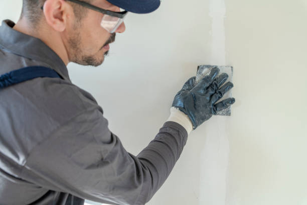 Best Air Quality Testing for Mold Spores  in Boonsboro, MD