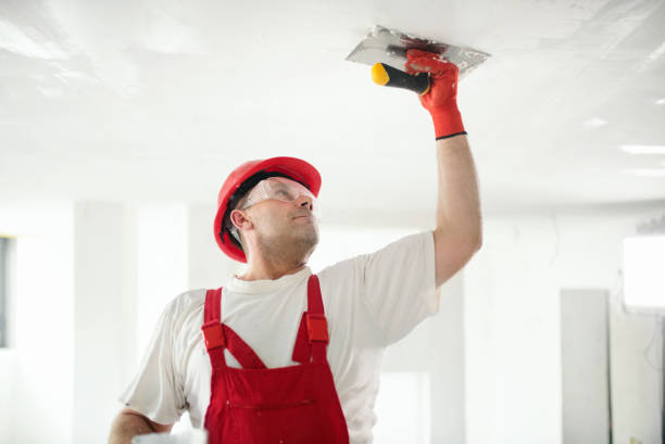 Biohazard Mold Removal in Boonsboro, MD