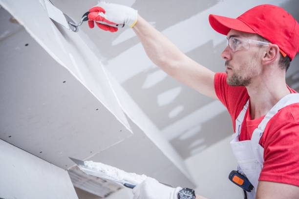 Best Industrial Mold Remediation  in Boonsboro, MD